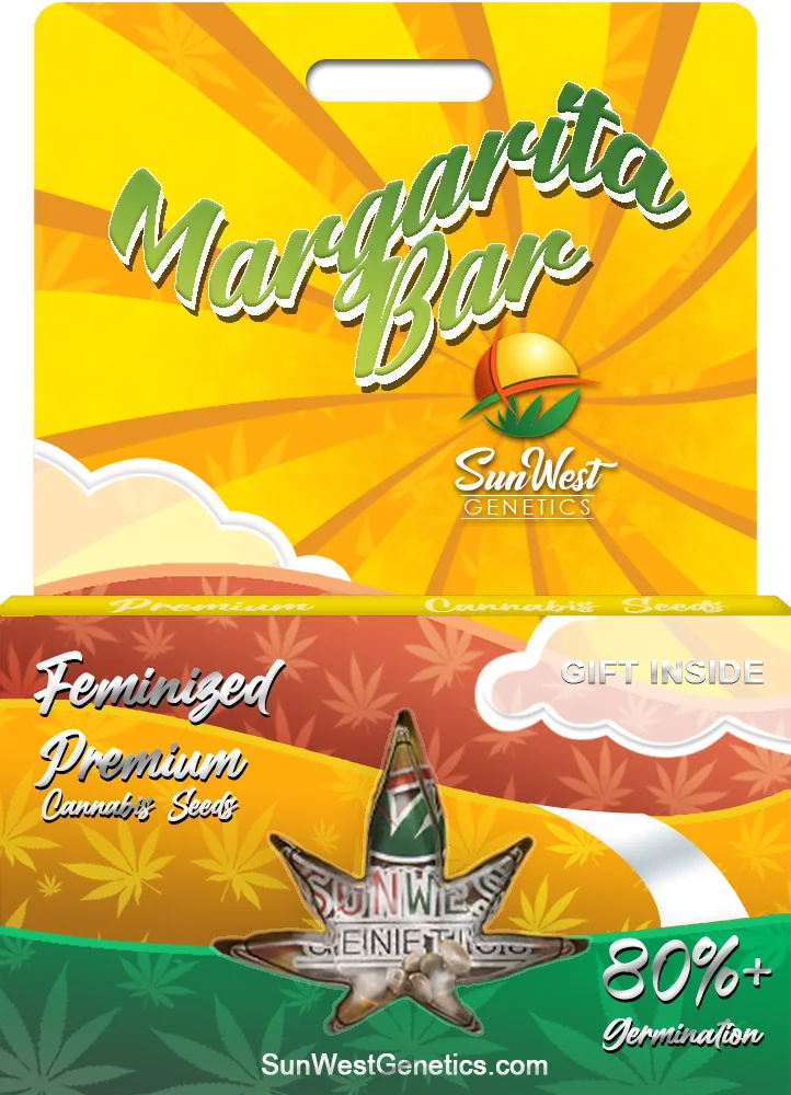 Margarita Bar Strain Feminized Marijuana Seeds Marijuana Seeds