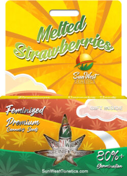 Melted Strawberries Strain Feminized