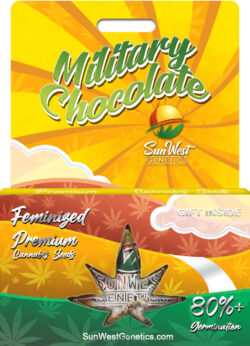 Military Chocolate Strain Feminized