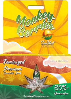 Monkey Berries Strain Feminized