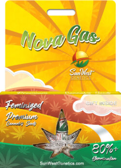 Nova Gas Strain Feminized