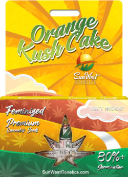 Orange Kush Cake Strain Feminized