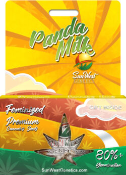 Panda Milk Strain Feminized