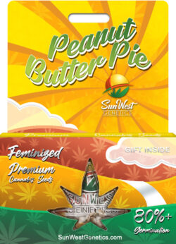 Peanut Butter Pie Strain Feminized