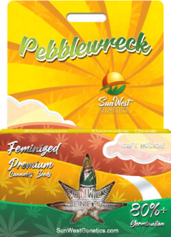Pebblewreck Strain Feminized