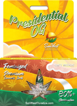 Presidential OG Strain Feminized