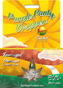 Purple Panty Dropper Strain Feminized