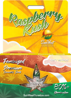 Raspberry Kush Feminized