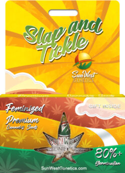 Slap and Tickle Strain Feminized