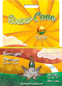 Snow Cone Strain Feminized