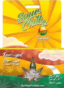 Sour Chillz Strain Feminized