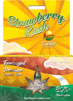 Strawberry Kush Feminized