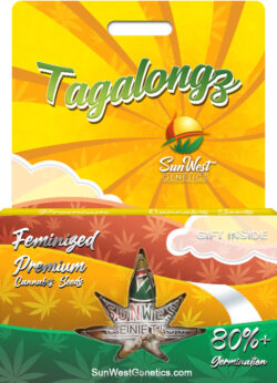Tagalongz Strain Feminized