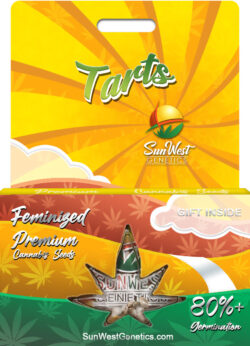 Tarts Strain Feminized