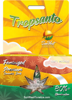 Tropsanto Strain Feminized