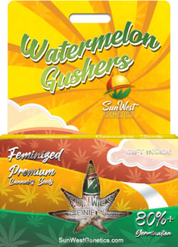 Watermelon Gushers Strain Feminized