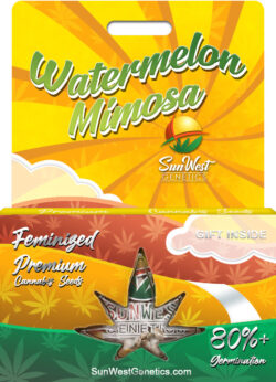 Watermelon Mimosa Strain Feminized