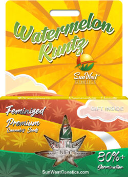 Watermelon Runtz Strain Feminized