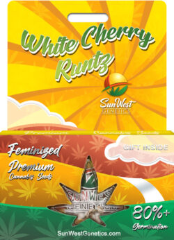 White Cherry Runtz Strain Feminized