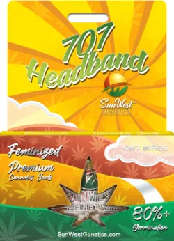 707 Headband Strain Feminized