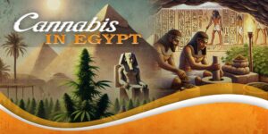 Cannabis in Egypt