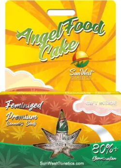 Angel Food Cake Strain Feminized
