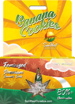 Banana Cookies Strain Feminized