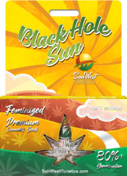 Black Hole Sun Strain Feminized