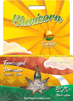 Blunicorn Strain Feminized