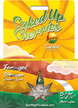 Caked Up Cherries Strain Feminized