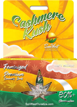 Cashmere Kush Feminized