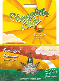 Chocolate Chip Strain Feminized