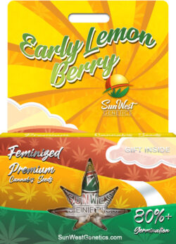 Early Lemon Berry Strain Feminized
