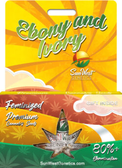 Ebony and Ivory Strain Feminized