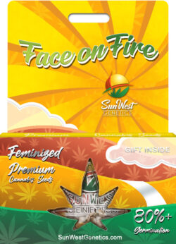 Face on Fire Strain Feminized