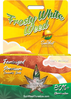 Frosty White Weed Strain Feminized