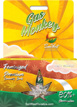 Gas Monkey Strain Feminized