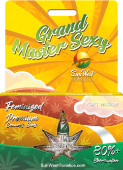 Grand Master Sexy Strain Feminized