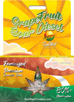 Grapefruit Sour Diesel Strain Feminized