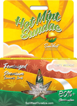 Hot Mint Sundae Strain Feminized