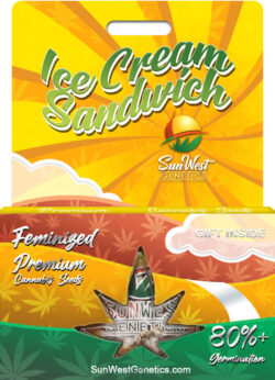Ice Cream Sandwich Strain Feminized