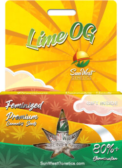 Lime OG Strain Feminized
