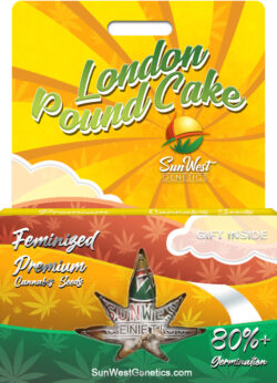 London Pound Cake Strain Feminized