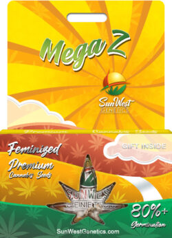 Mega Z Strain Feminized