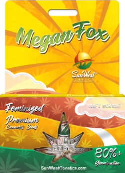 Megan Fox Strain Feminized