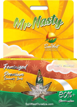 Mr. Nasty Strain Feminized