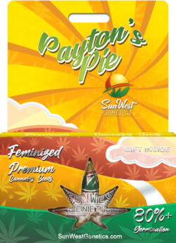 Payton’s Pie Strain Feminized