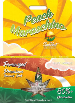Peach Maraschino Strain Feminized