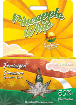 Pineapple Whip Strain Feminized