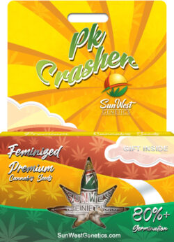 PK Crasher Strain Feminized
